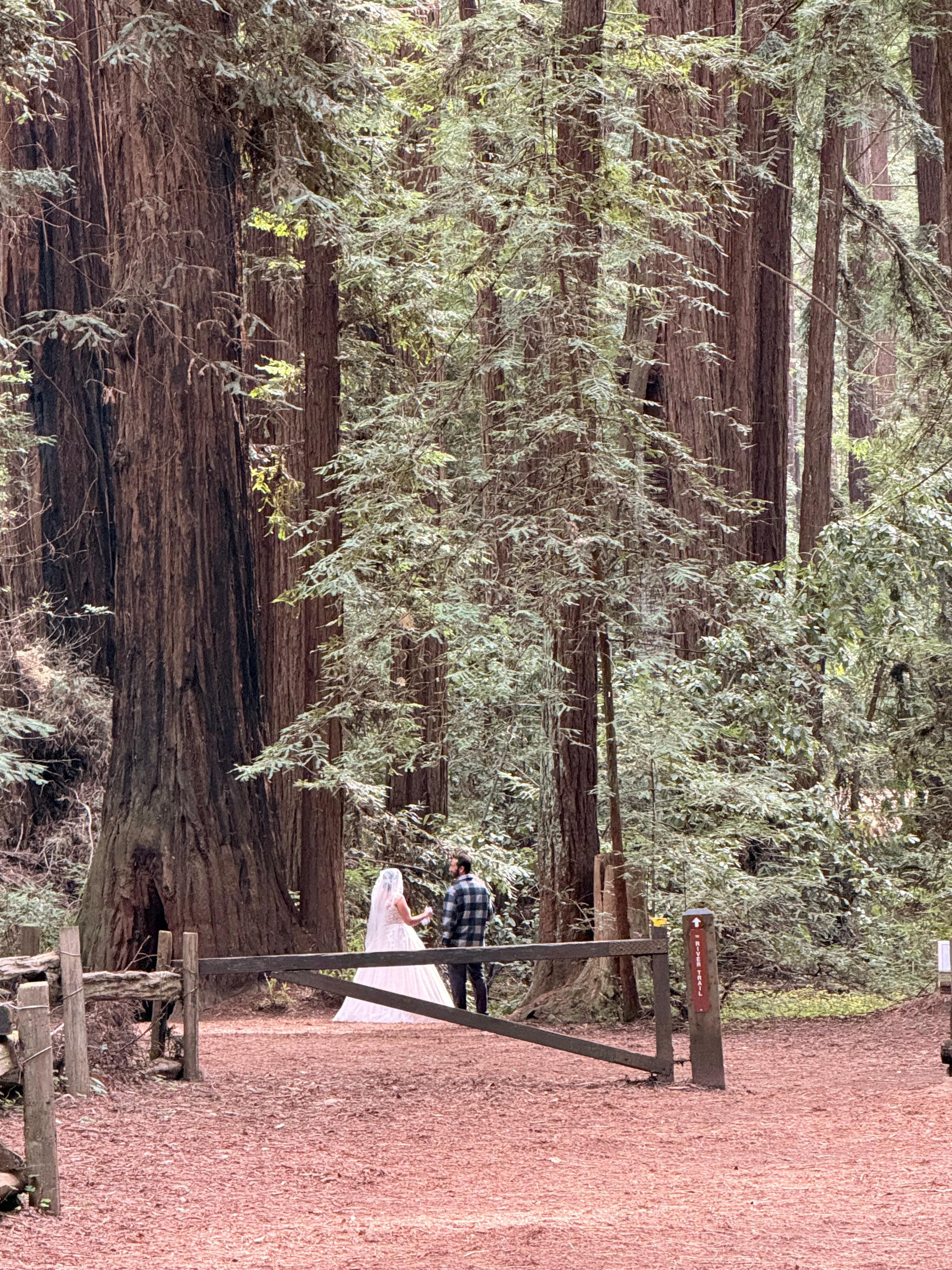 Redwood Park