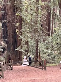 Redwood Park