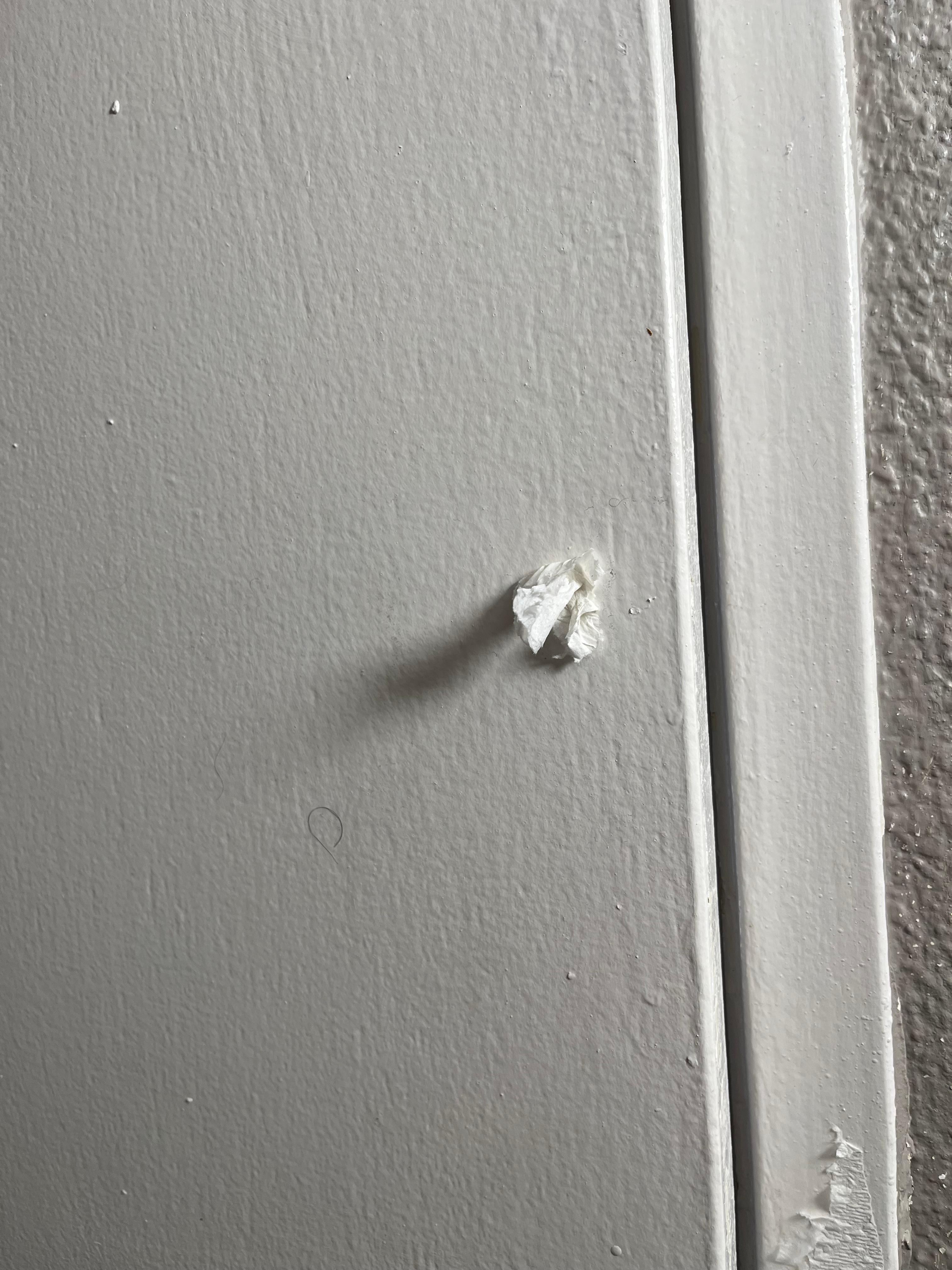 Spit wad on bathroom door