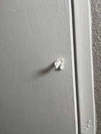 Spit wad on bathroom door