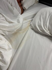 woke up to what looked like someone urinated in the bed.