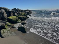 Moss Landing State Beach