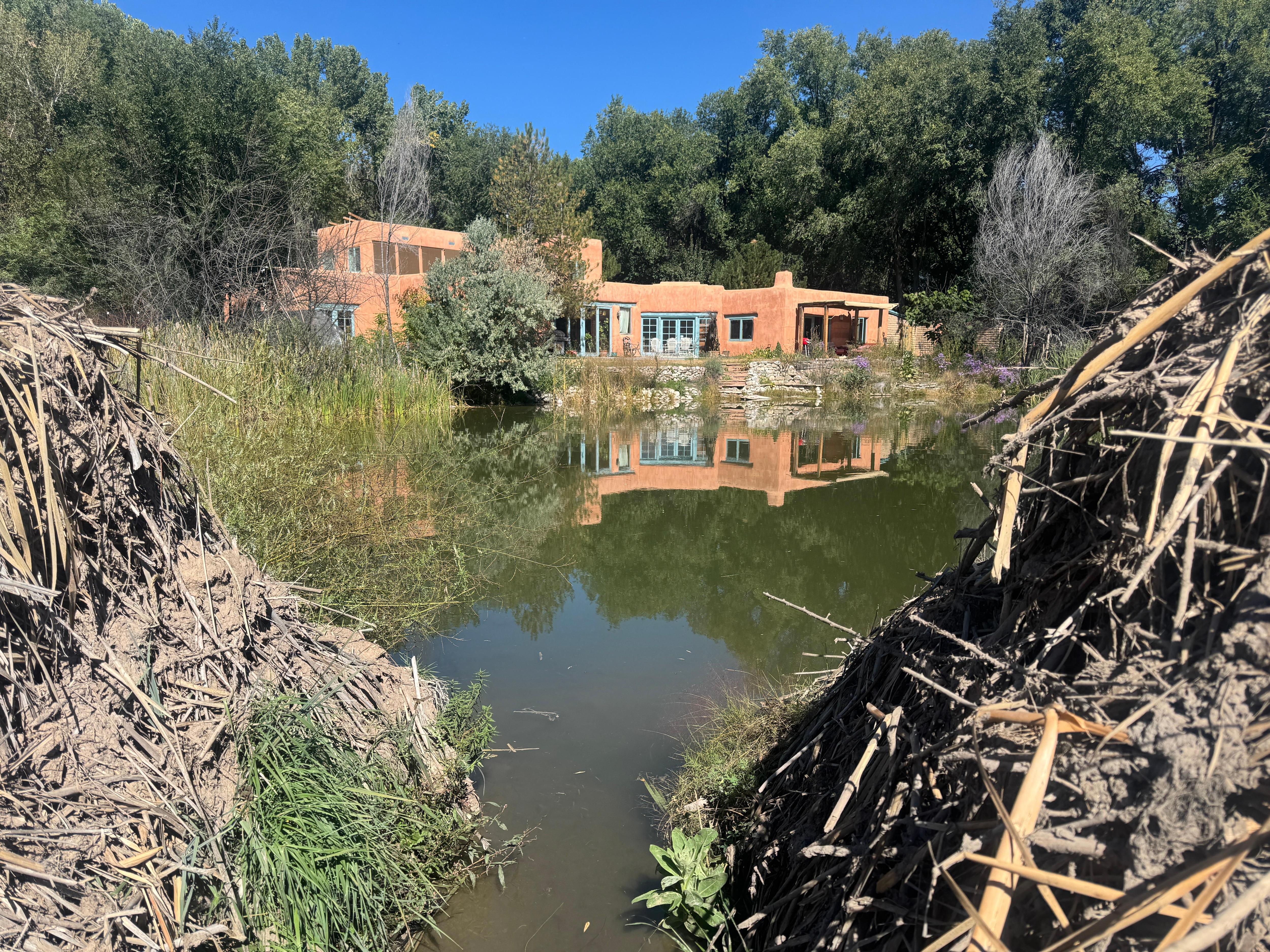 Looking back from across the Beaver Pond.