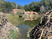 Looking back from across the Beaver Pond.