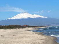 View looking north on the beach