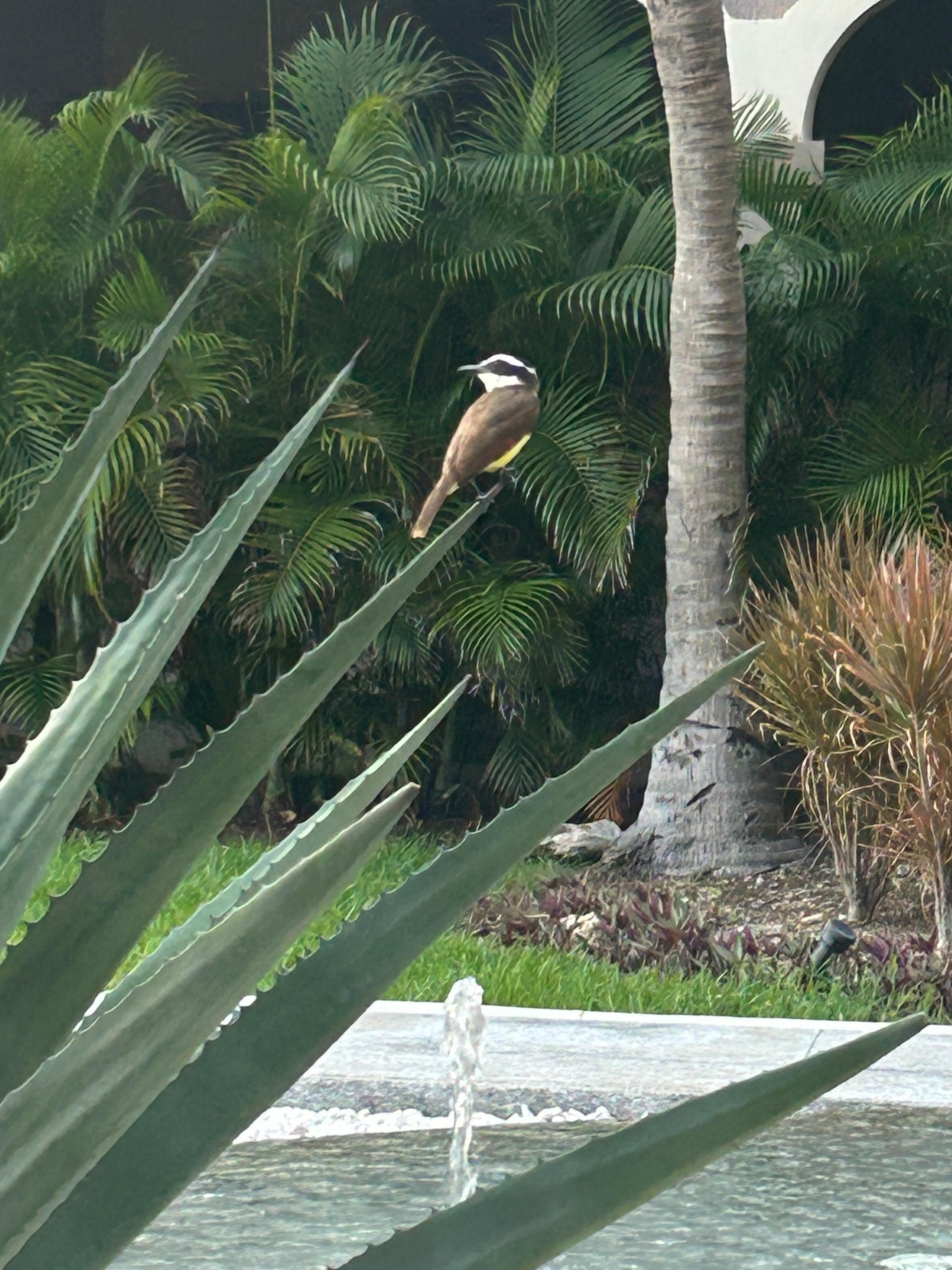Enjoying the wildlife.