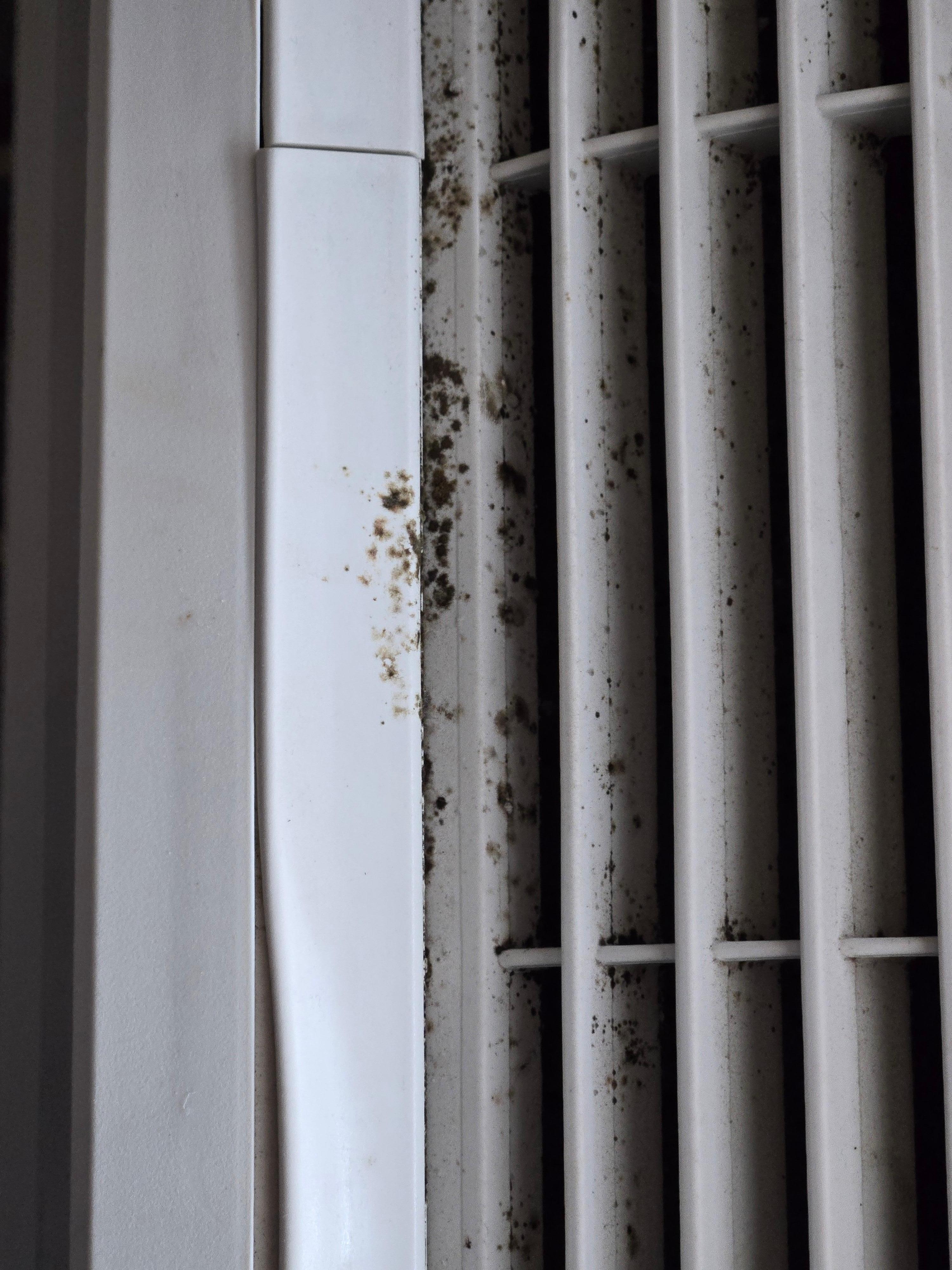 Air conditioning unit moldy super dirty