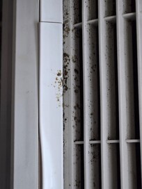 Air conditioning unit moldy super dirty