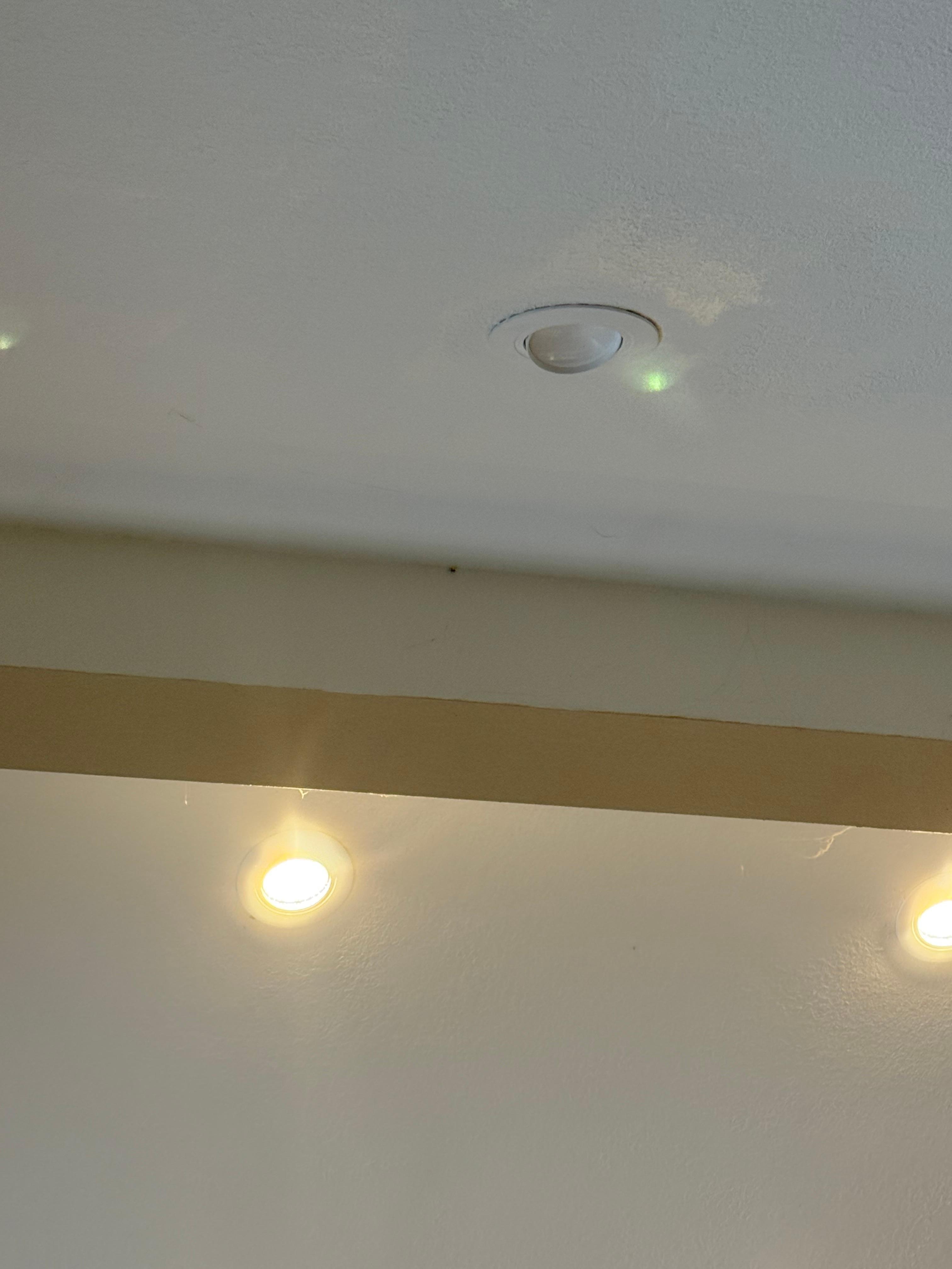 Unattended spider webs.