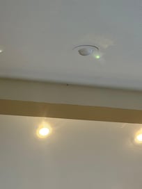 Unattended spider webs.