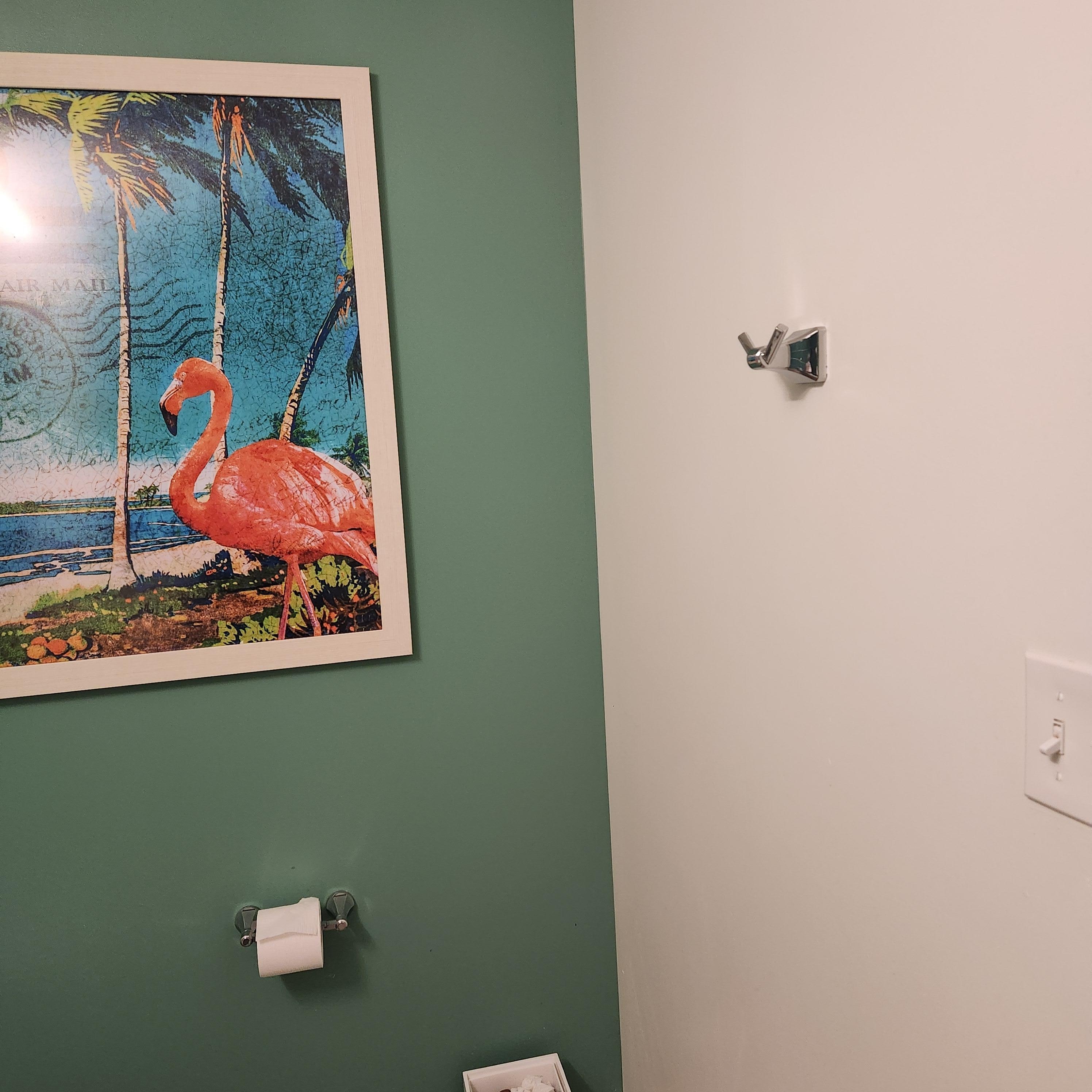 No towel bars, just this double hook