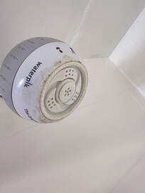 Dirty shower head