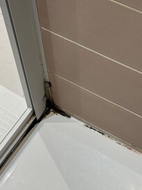 Hotel mold
