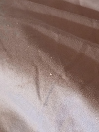 White flakes (feet crumbs) bottom of the bed.