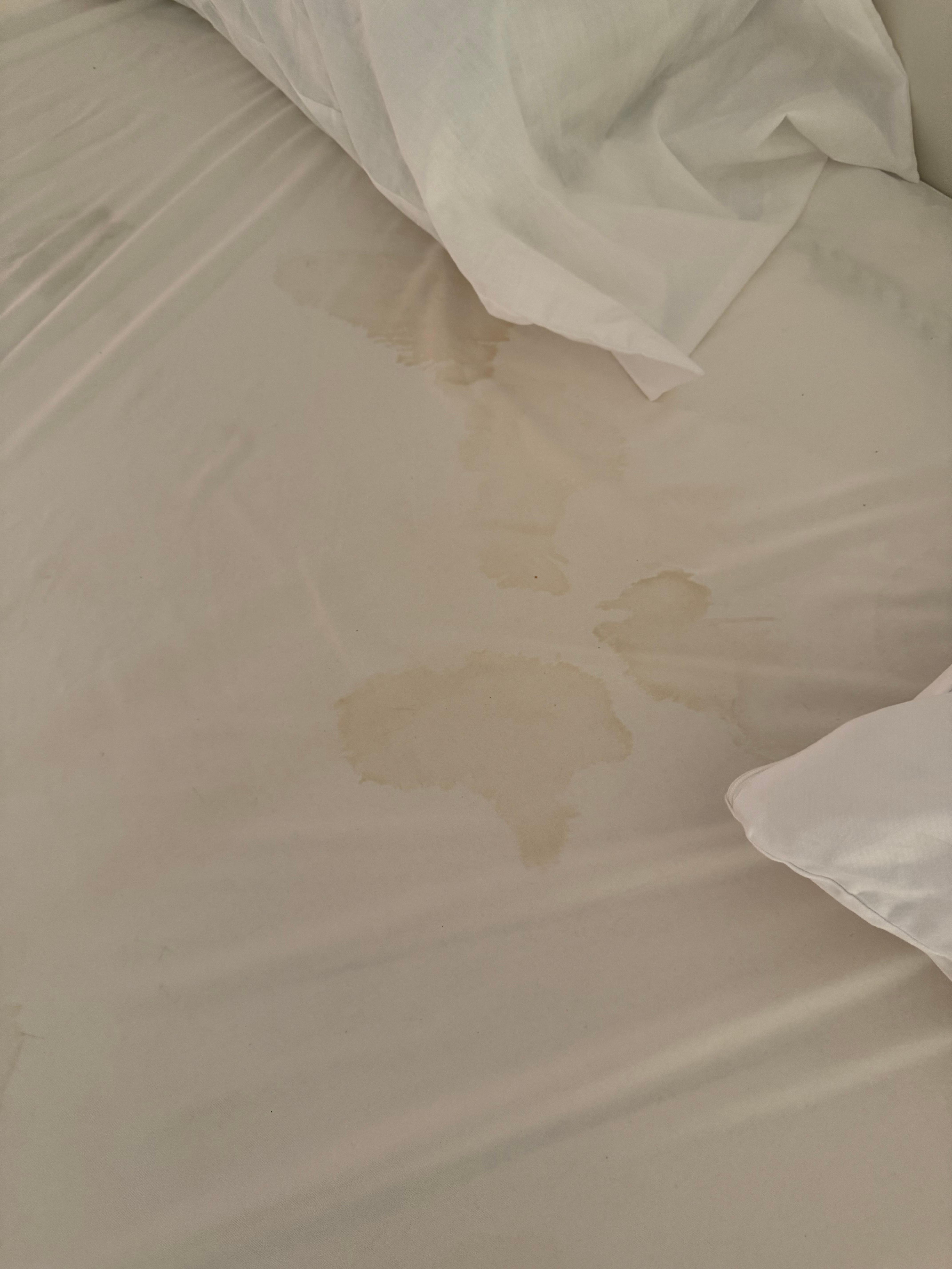 Dried blood stains on several bedding covers