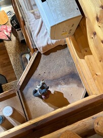 Mold from a leaky ac