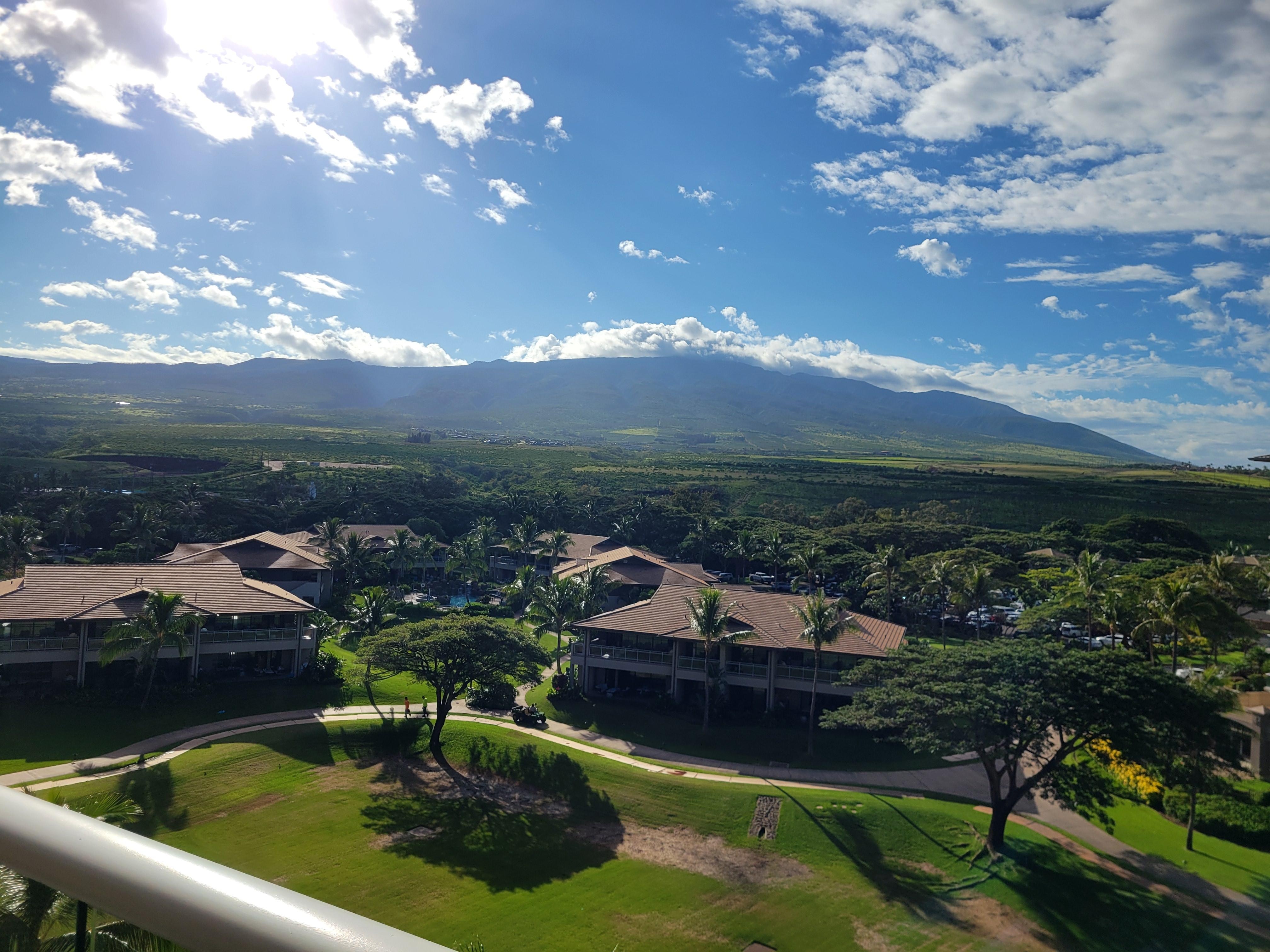 View from the balcony 