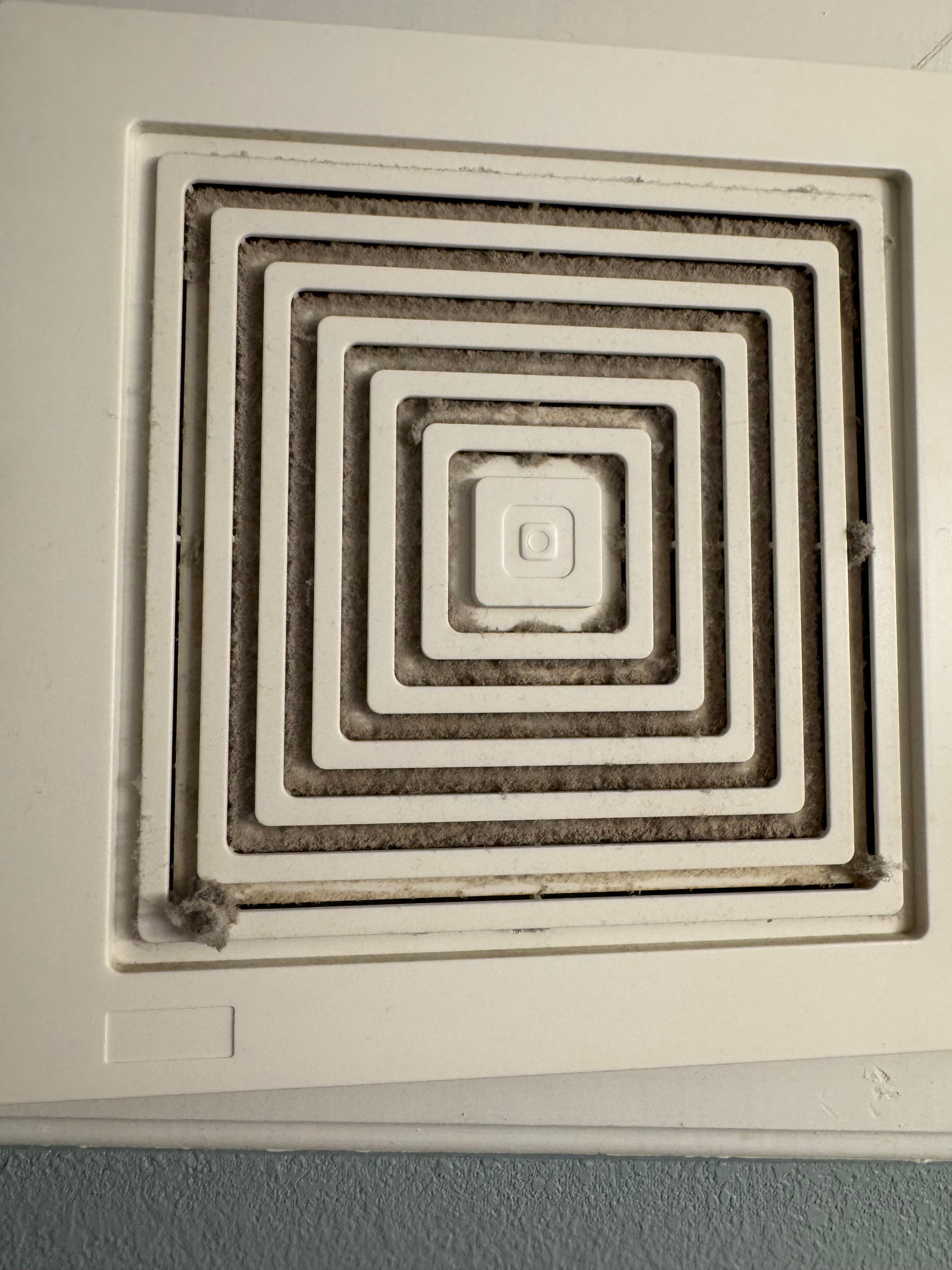 Lint and dirt in crested exhaust fan covering bathroom. No steam would vent out.