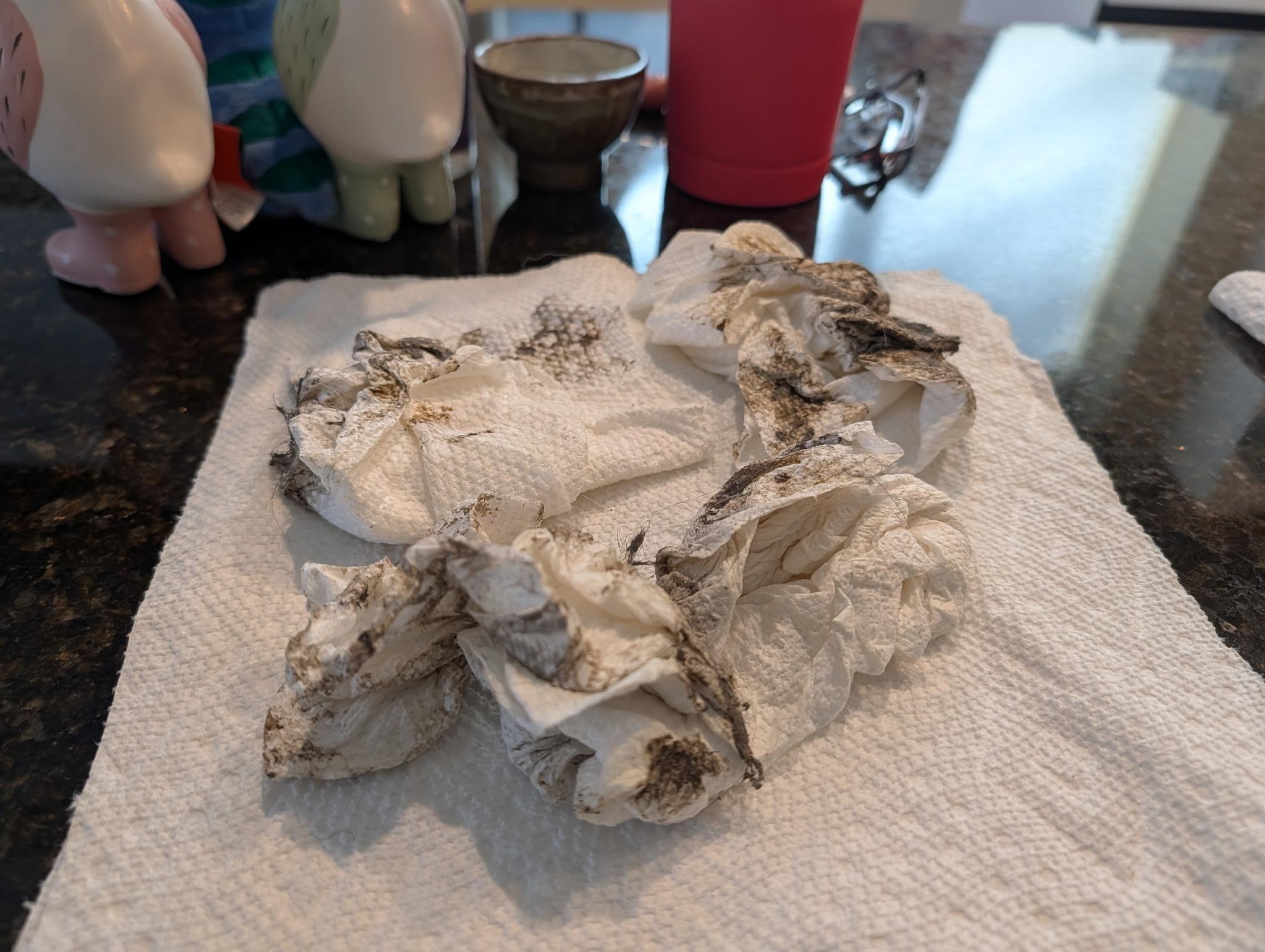 Dirty paper towels from cleaning out the washing machine