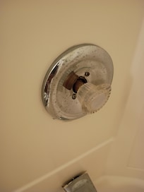 Missing pieces in the shower