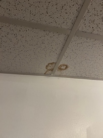 Water stains in bathroom ceiling