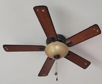 Ceiling fan