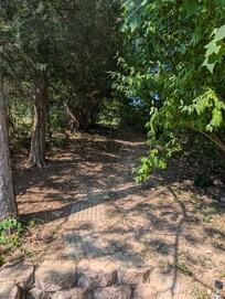Dirt path