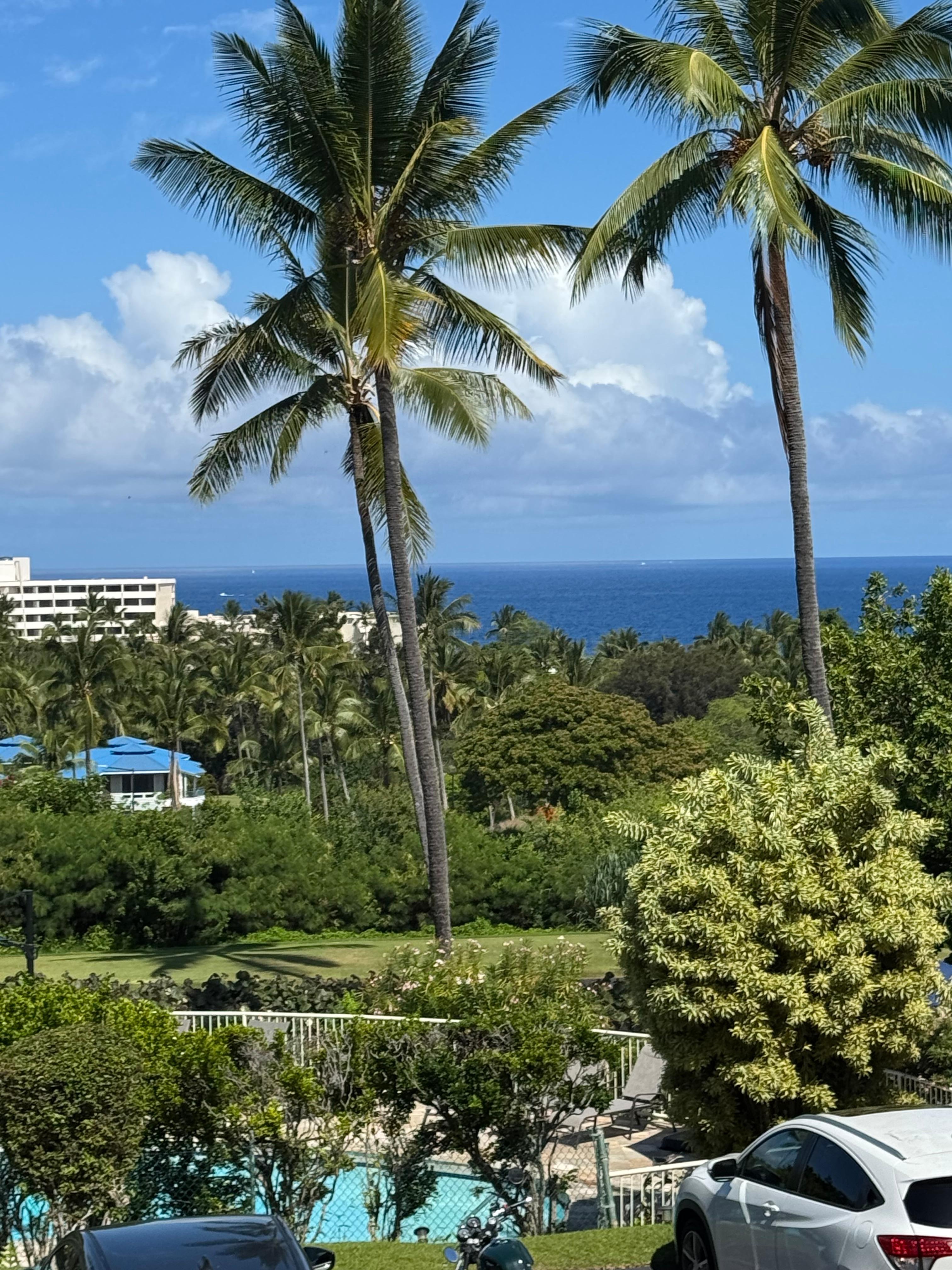 Morning view from the lanai