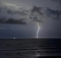 Natures event entertainment!