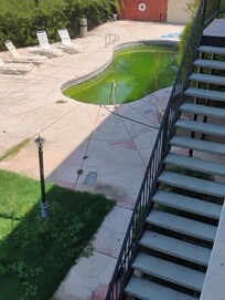 "Come' take a dip in our green pool" 113 degrees outside, you'd think they'd wanna us when we booked the room.