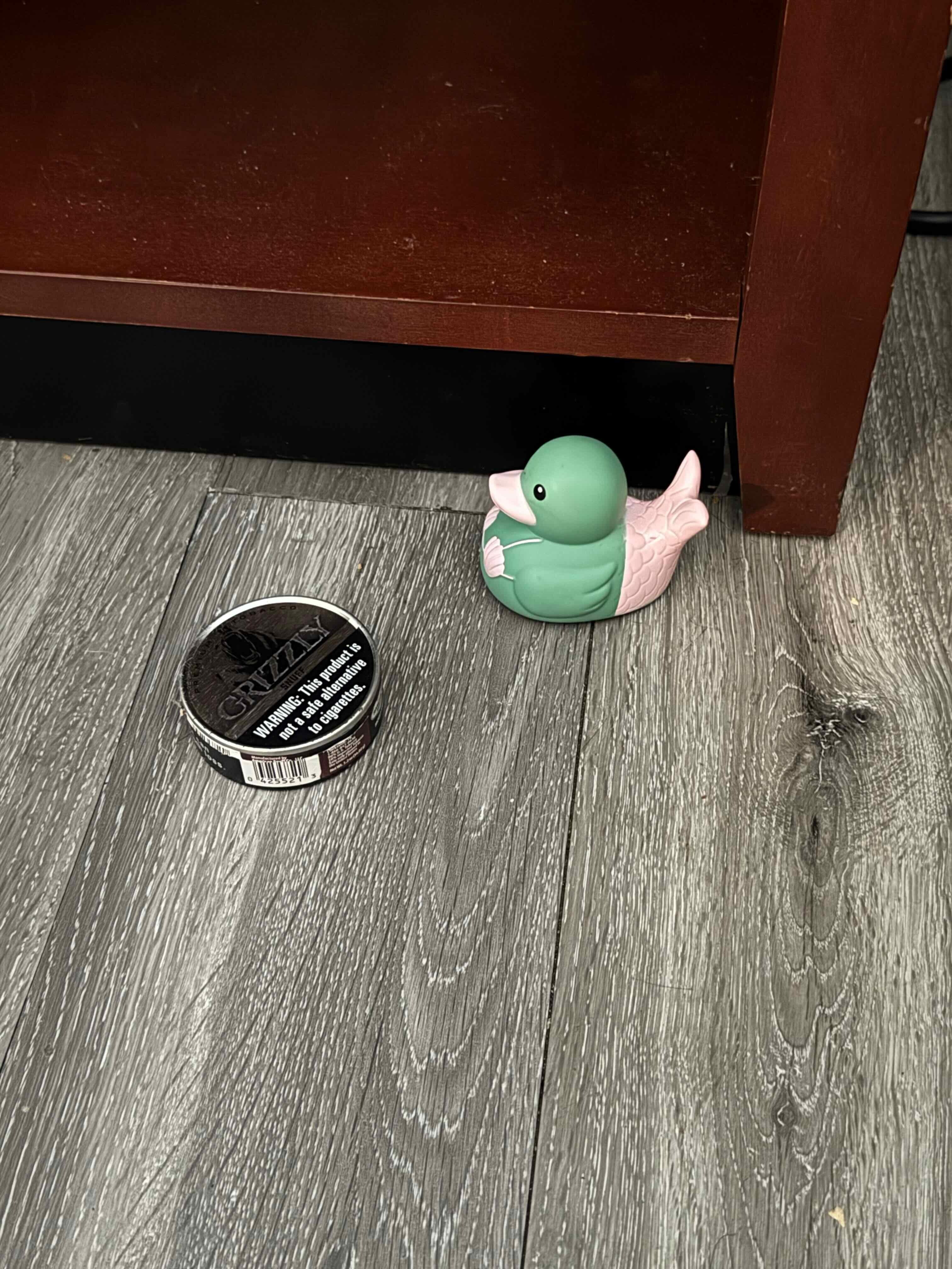 Found a rubber Duckie and a tin of chewing tobacco under the beds