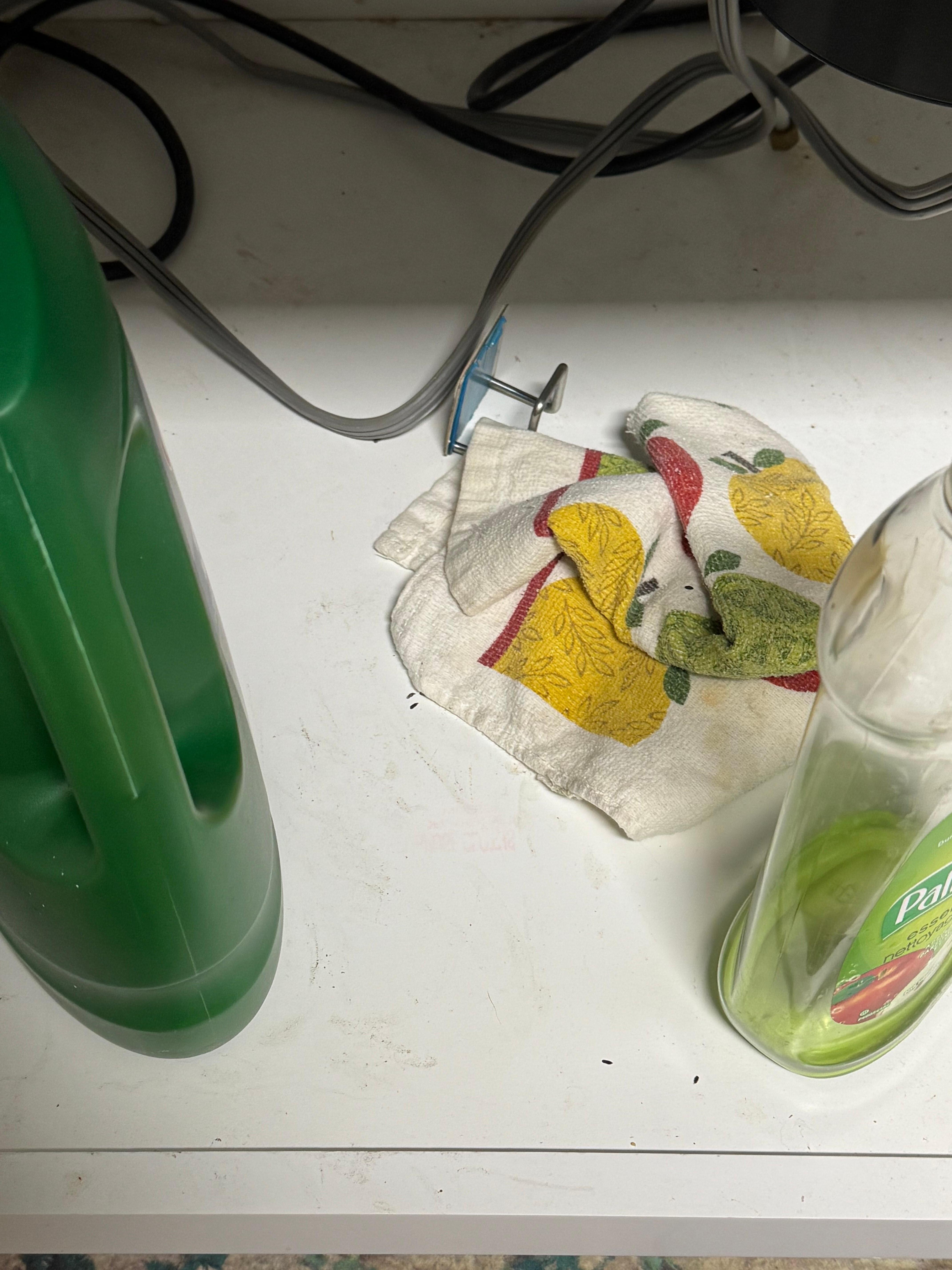 The only kitchen towel under the sink with mouse droppings