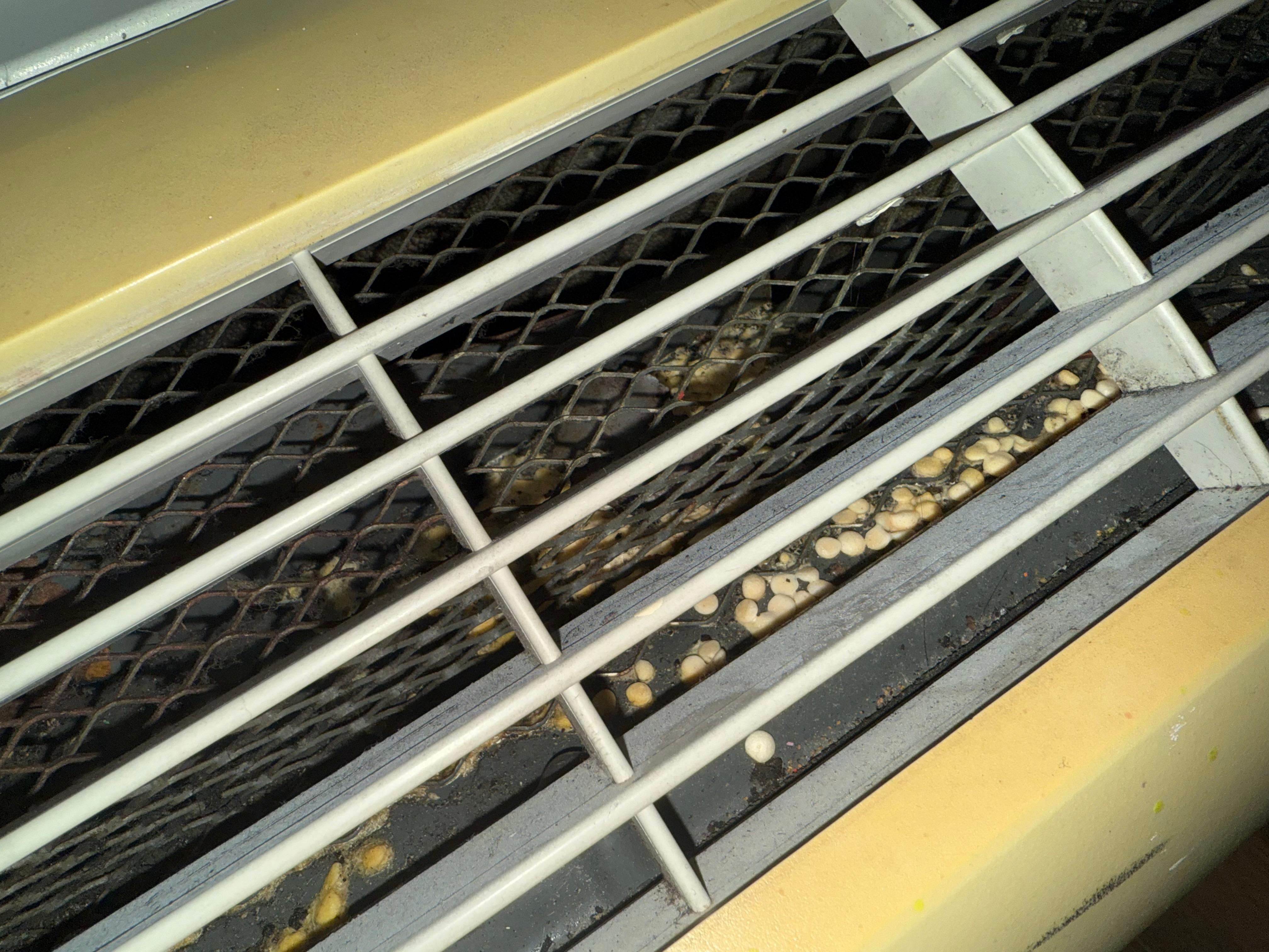 Mold in AC/Heater Unit