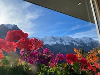 View at breakfast.