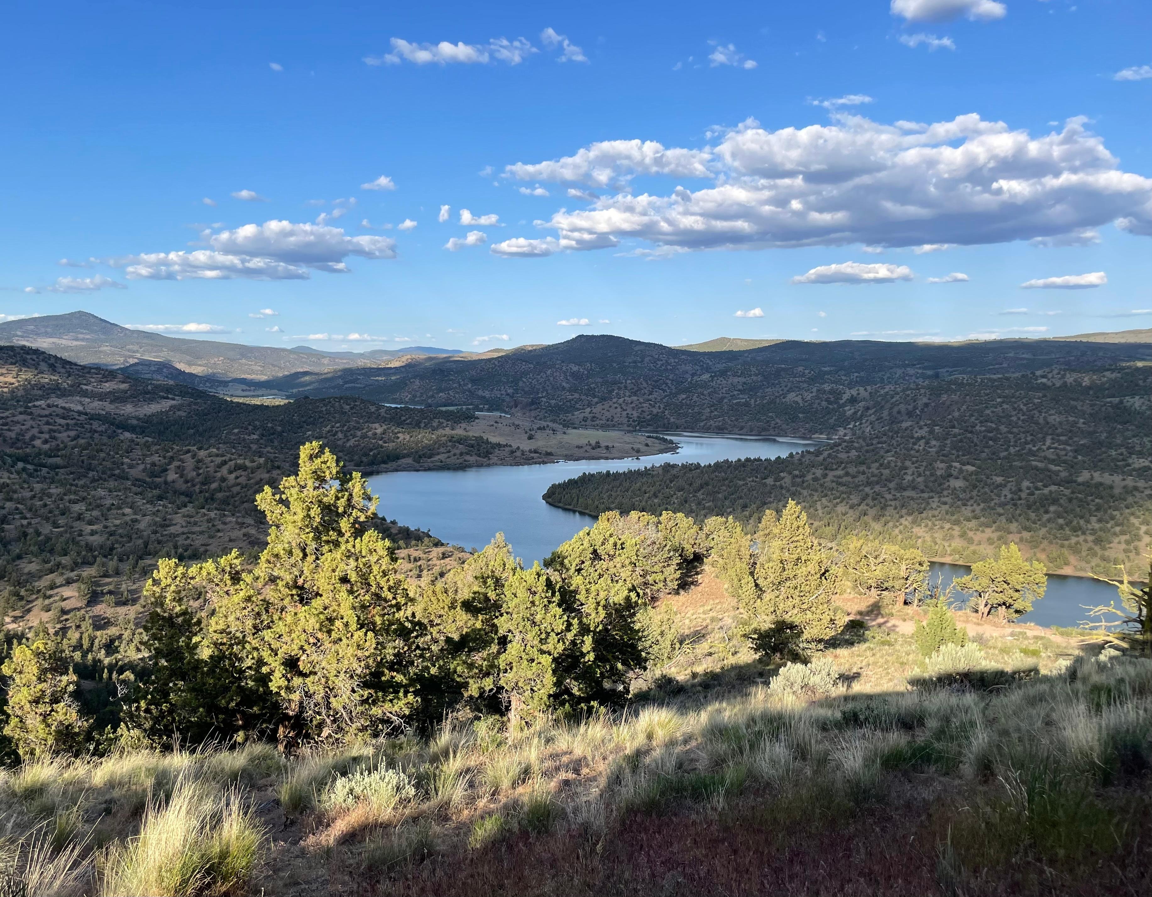 View from the covered patio