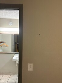 Roach on the wall outside of the bathroom