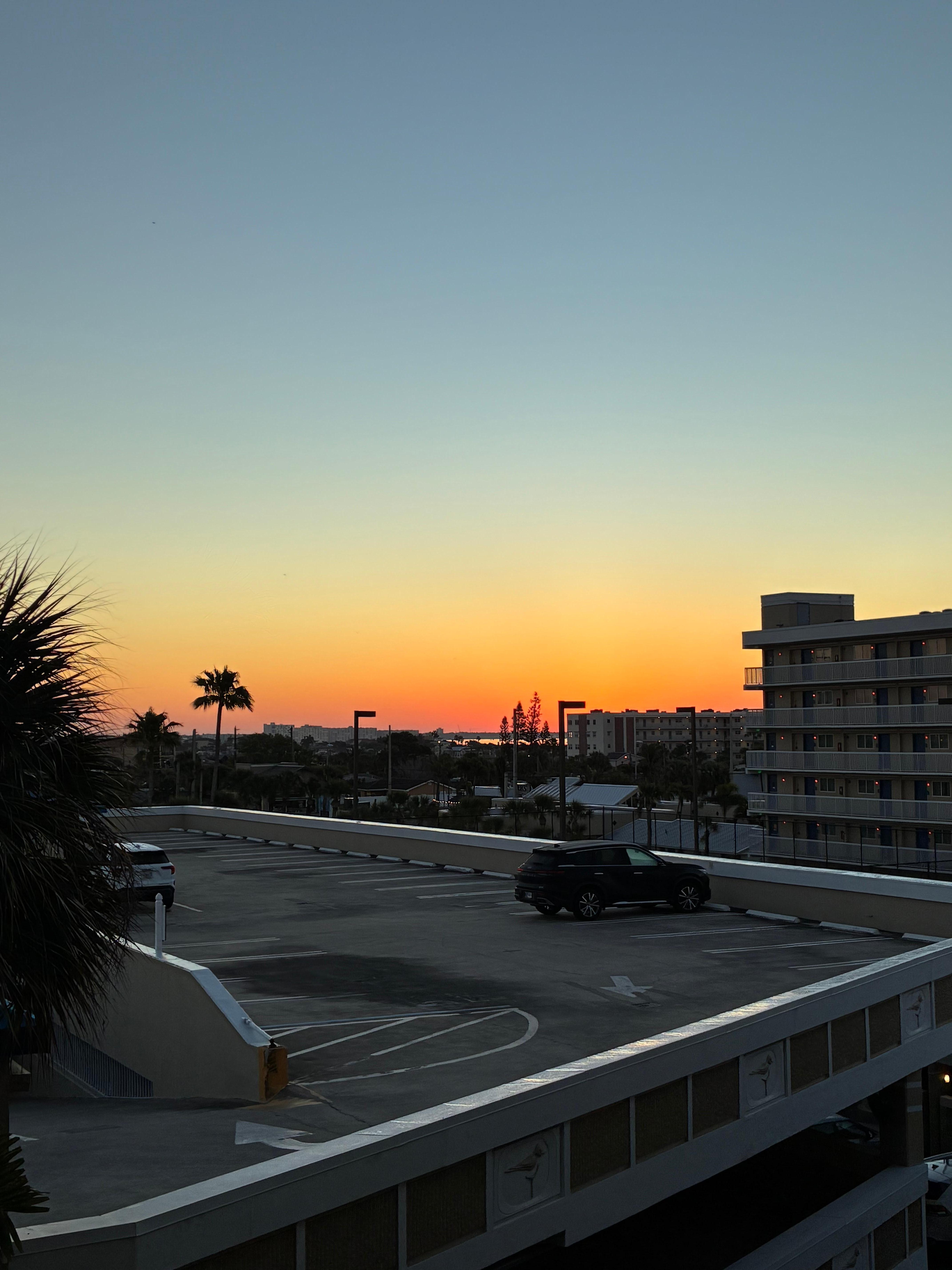 Morning view out our window. 