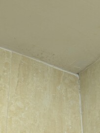The corner of the shower
