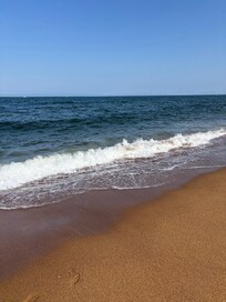 Beach walks!