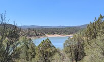 Lynx lake