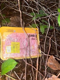 Chicken feet outside of the hotel by the fitness center