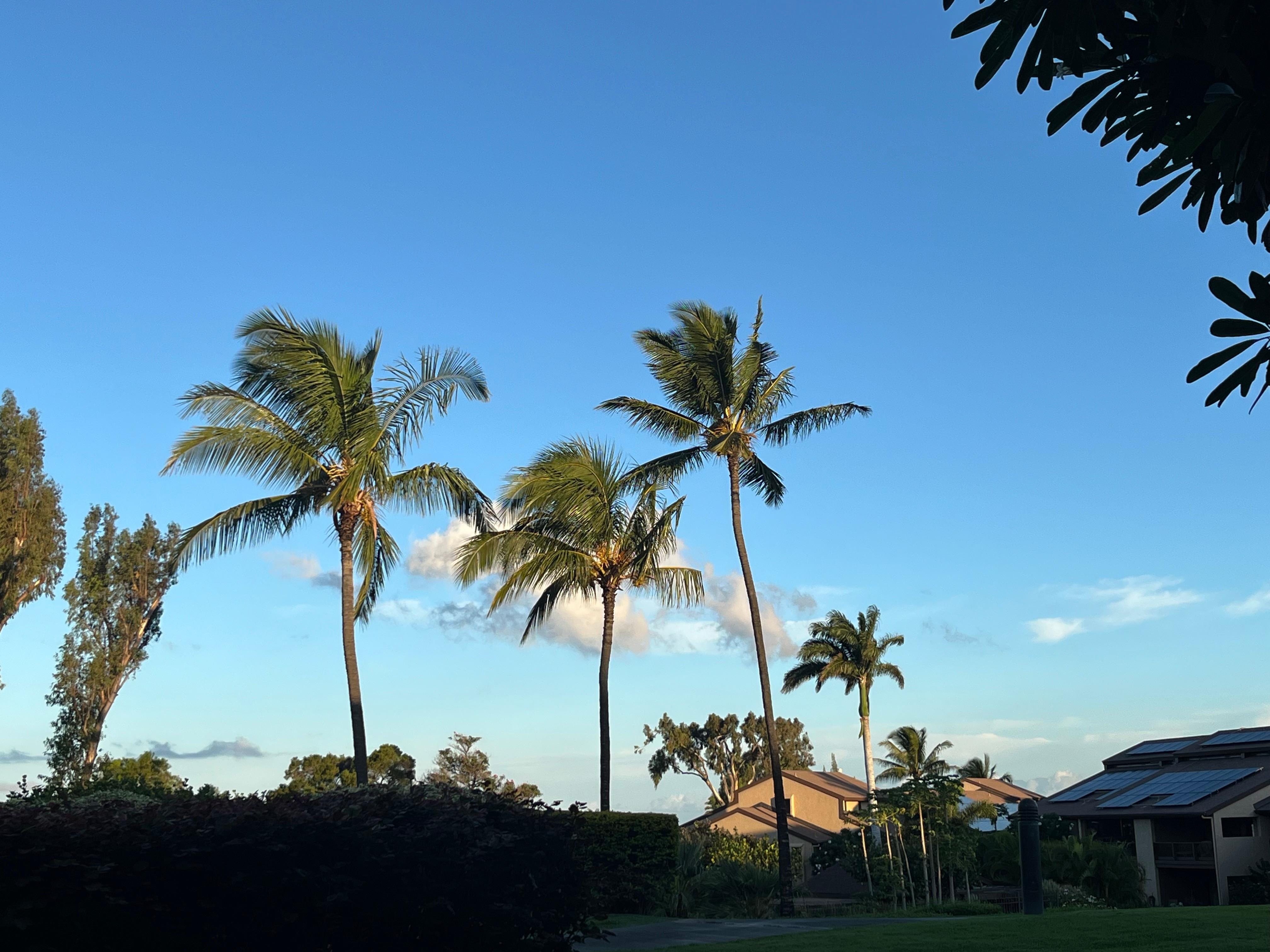 Day and night from lanai 
