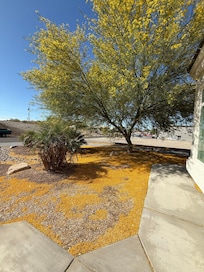 Front yard