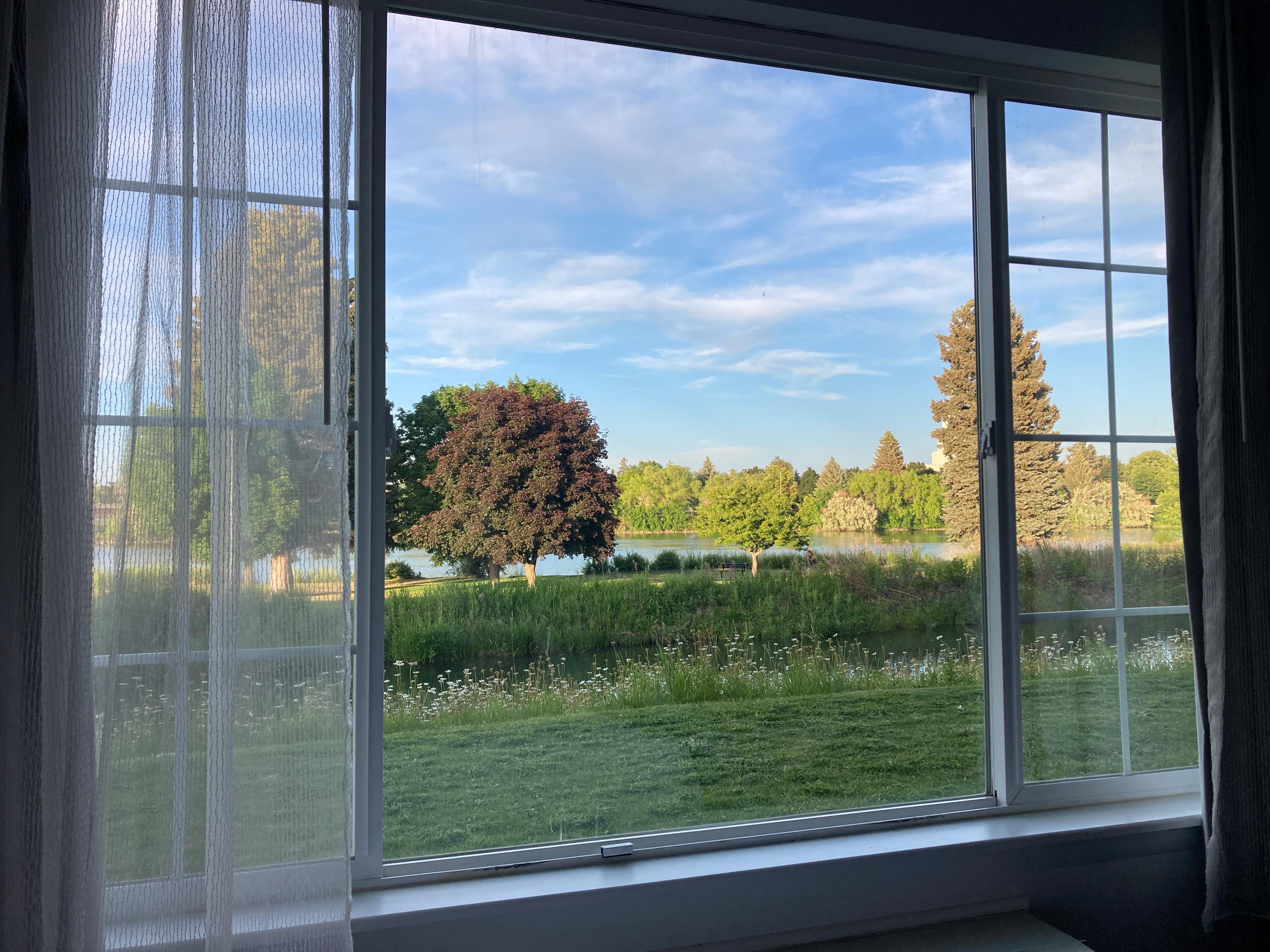 View from the bed