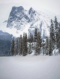 Walking on the lake...