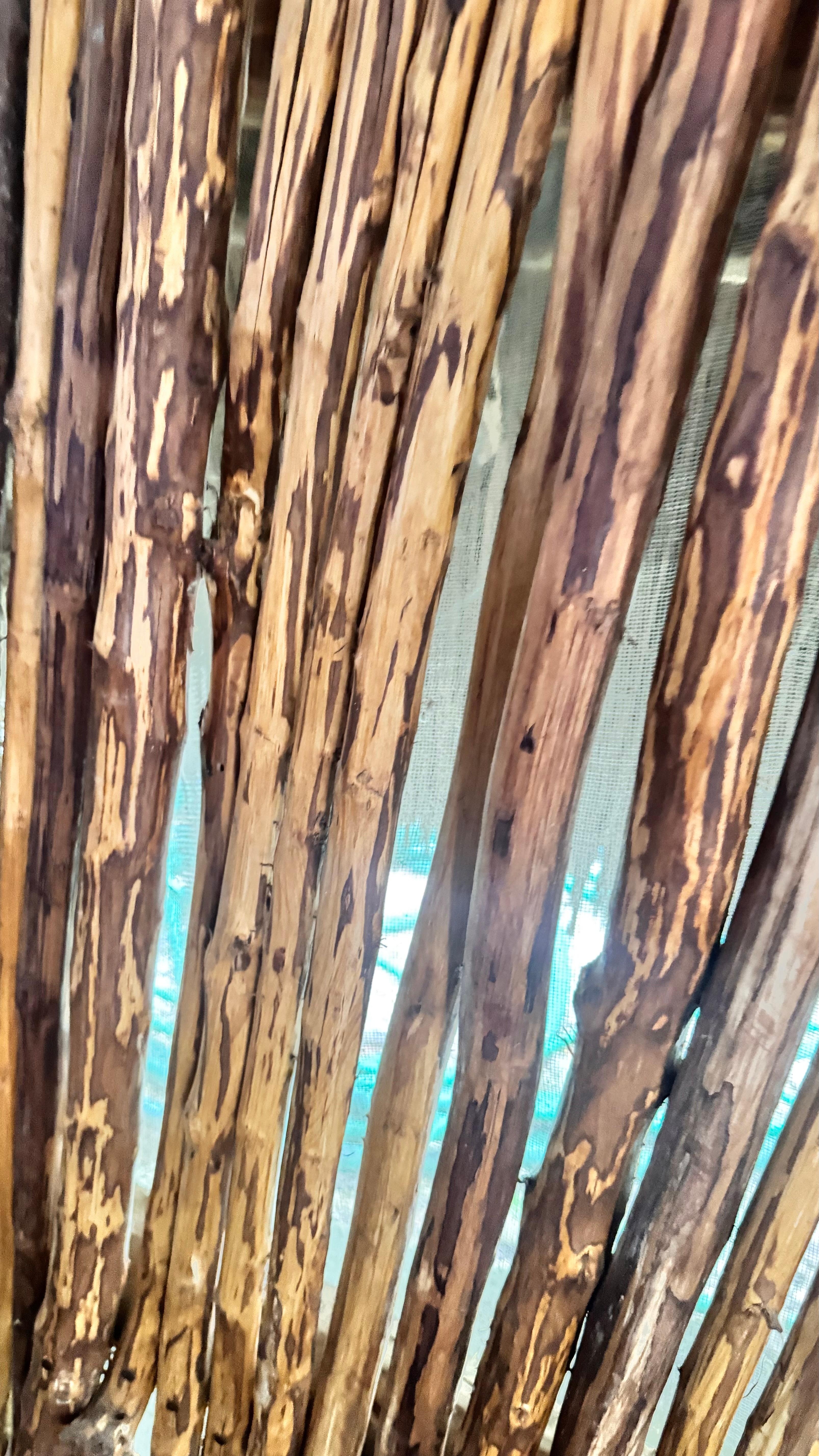 The walls of the cabana