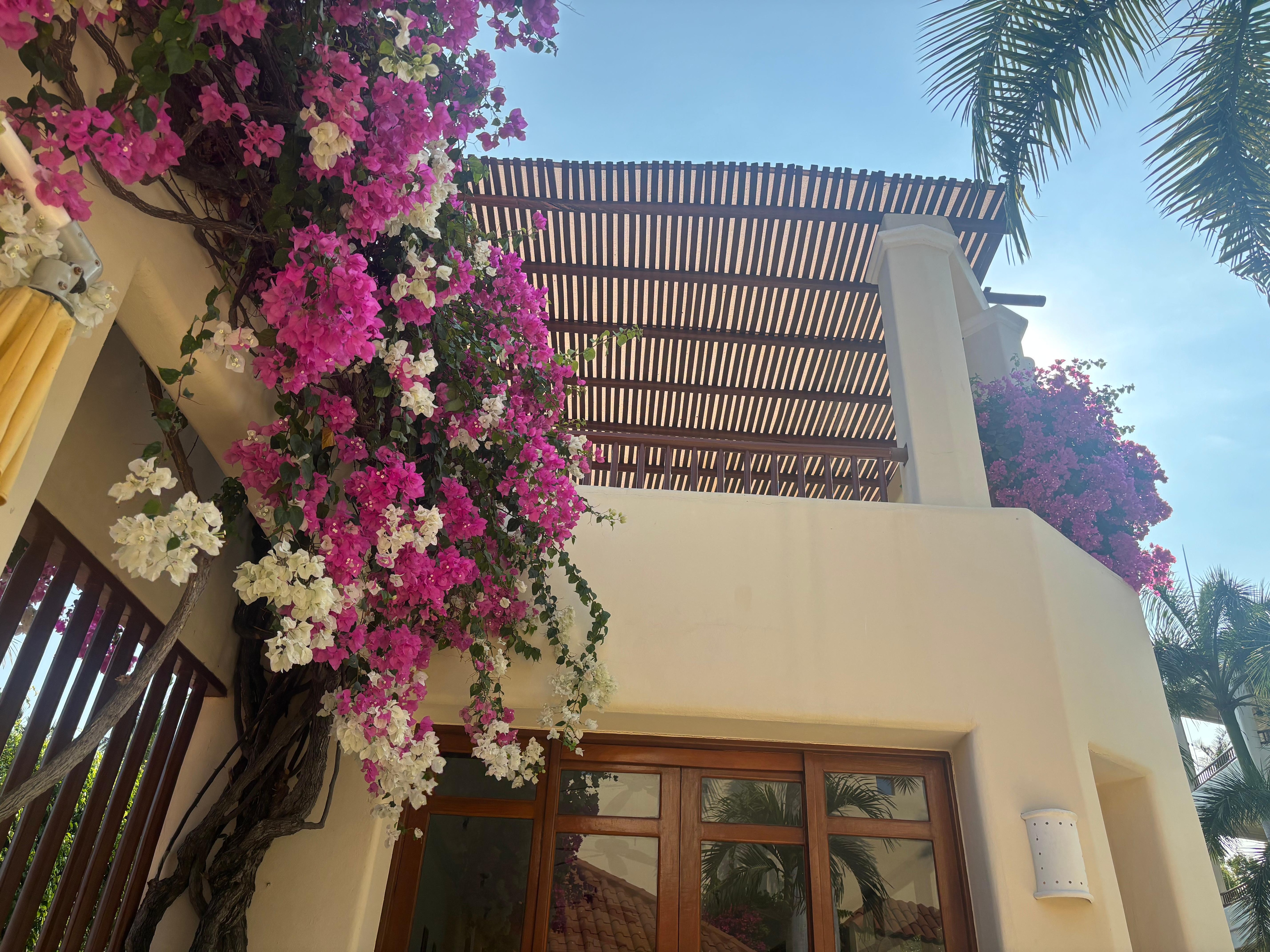 Beautiful flowers around pool