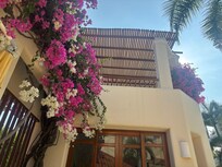 Beautiful flowers around pool