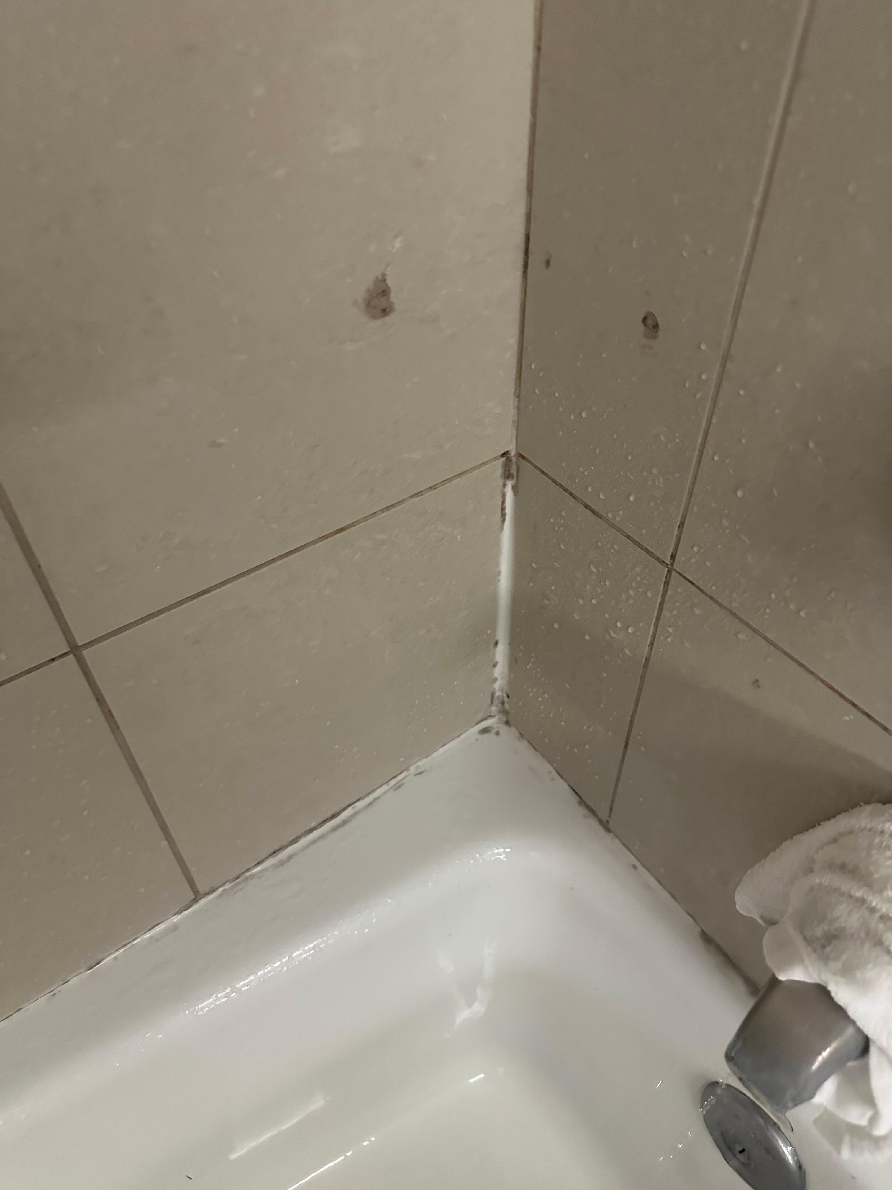 Mildew 