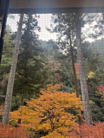 The view from our room window